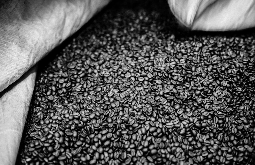 Arabica vs Robusta Beans - Differences Explained - Vittoria Coffee